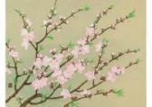 MAKI Susumu Peach Blossom MAKI Susumu Peach Blossom