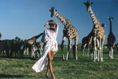 MALINOWSKI Stan Julie And The Giraffes MALINOWSKI Stan Julie And The Giraffes