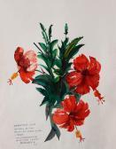 MANANSALA Vicente Silva Hibiscus MANANSALA Vicente Silva Hibiscus