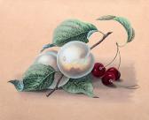MANESOVA Amalie Still-life With Apricots And Cherries MANESOVA Amalie Still-life With Apricots And Cherries