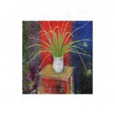 MANN Kathleen Spider Plant MANN Kathleen Spider Plant