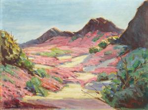 Jean Mannheim - Blooming Desert Landscape