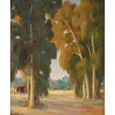 MANNHEIM Jean Golden Eucalyptus MANNHEIM Jean Golden Eucalyptus