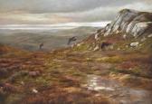 MANNING Nicholas Perthshire Grouse MANNING Nicholas Perthshire Grouse