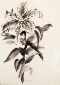 MARIE Susan Untitled MARIE Susan Untitled