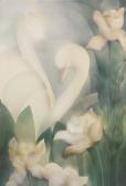 MARIE Suzanne Lilies And Lilies
And
Swans MARIE Suzanne Lilies And Lilies
And
Swans
