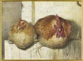 MARKS J.G. Roosting MARKS J.G. Roosting