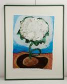 MARLATT Megan Cauliflower Navel MARLATT Megan Cauliflower Navel