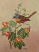 MARLIN M Little Bird MARLIN M Little Bird