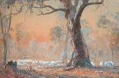 MARTIN P.H. Sheep Grazing Beneath Gum Trees MARTIN P.H. Sheep Grazing Beneath Gum Trees