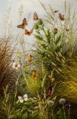 MARTINEAU Emile Butterflies MARTINEAU Emile Butterflies
