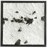 MASAO Yamauchi Untitled MASAO Yamauchi Untitled