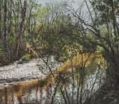 MASINTER Shirley Rabe The Little Bouge Fayala, Early Spring MASINTER Shirley Rabe The Little Bouge Fayala, Early Spring