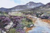 MATEER Sam Among The Blooming Heather MATEER Sam Among The Blooming Heather