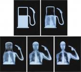 Mater Ahmed Saudi Evolution Of Man Mater Ahmed Saudi Evolution Of Man