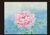 MATSUMOTO Susumu Peony MATSUMOTO Susumu Peony