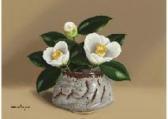 MATSUO Takeo White Camellia (nezumishino Tea Cup) MATSUO Takeo White Camellia (nezumishino Tea Cup)