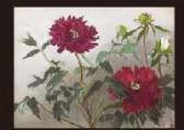 MATSUSHITA Senren Peony MATSUSHITA Senren Peony