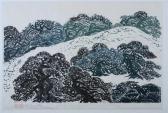 MATSUTARA NOOKO Pine Trees MATSUTARA NOOKO Pine Trees
