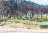 MAUGHAN ANNE Landscape MAUGHAN ANNE Landscape