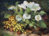 MAUREEN JORDAN "zantedeschias And Pansies";48.3x31.8cm, (may Be Subject To Droit De Suite) Provenance: Original Art Work For Illustration, Used For The Cover Of Rspb Birds Magazine, Winter 1983, (3), (may Be Subject To Droit De Suite) MAUREEN JORDAN "zantedeschias And Pansies";48.3x31.8cm, (may Be Subject To Droit De Suite) Provenance: Original Art Work For Illustration, Used For The Cover Of Rspb Birds Magazine, Winter 1983, (3), (may Be Subject To Droit De Suite)