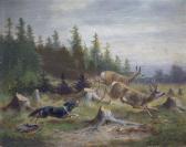 MAURER Julius Jagdhund Mit Angehängter Tasche Stellt Rotwild In Waldlichtung MAURER Julius Jagdhund Mit Angehängter Tasche Stellt Rotwild In Waldlichtung