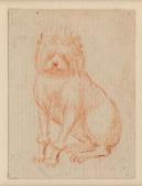 MAURER Johann Jakob Französischer Pudel MAURER Johann Jakob Französischer Pudel