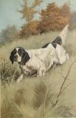 MAUSS ARNOLT G. Hunting Dog MAUSS ARNOLT G. Hunting Dog
