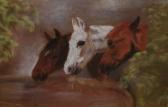 MAYNARD S Three Horses At A Trough MAYNARD S Three Horses At A Trough