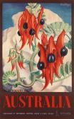 MAYO Eileen Rosemary Australia , Sturt's Desert Pea MAYO Eileen Rosemary Australia , Sturt's Desert Pea