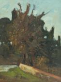 MAZZI Aldo Paesaggio MAZZI Aldo Paesaggio