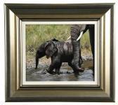 Mc Garry Pip Baby Elephant, Mara Mc Garry Pip Baby Elephant, Mara