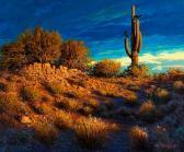 Mc Ginty Mick Golden Moment In The Sonora Mc Ginty Mick Golden Moment In The Sonora