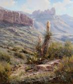 MC KENNA KENNY Big Bend Blooms MC KENNA KENNY Big Bend Blooms