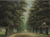 MC KEOWN H. A Tree-lined Country Road MC KEOWN H. A Tree-lined Country Road