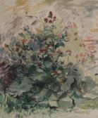McAdoo Violet Wild Flowers And Wild Flowers And Rocks McAdoo Violet Wild Flowers And Wild Flowers And Rocks