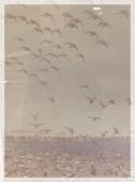 McCallum James Flocks Of Geese McCallum James Flocks Of Geese