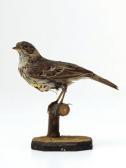 MCCALLUM KELLY Unique Victorian Taxidermied Bird Sculpture MCCALLUM KELLY Unique Victorian Taxidermied Bird Sculpture