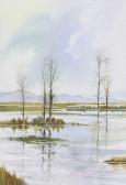 MCCANN Peter River Reflections MCCANN Peter River Reflections