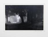 MCCARTNEY Thomas The Farm (fog) Vermont MCCARTNEY Thomas The Farm (fog) Vermont