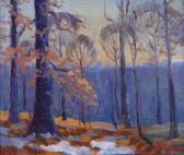 MCCONAHA Lawrence Interior Woods MCCONAHA Lawrence Interior Woods