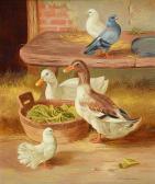 MCCORMICK Stanley Farmyard Study MCCORMICK Stanley Farmyard Study