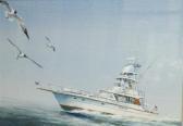 MCCOY JR. John T. Sea Hawk MCCOY JR. John T. Sea Hawk