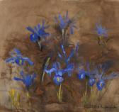McCurrach Margaret Early Irises McCurrach Margaret Early Irises