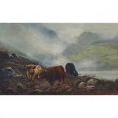 MCDONALD Gillian Scottish Provenance Highland Cattle In The Mist MCDONALD Gillian Scottish Provenance Highland Cattle In The Mist