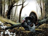 MCDONALD Ralph J. Wild Turkey MCDONALD Ralph J. Wild Turkey