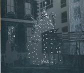 MCDONNELL Ross "dail Fairy Lights" MCDONNELL Ross "dail Fairy Lights"