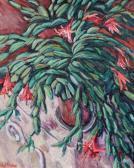 McElwee Fred Lidcactus McElwee Fred Lidcactus