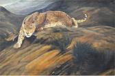 MCGINN W Stalking Leopard MCGINN W Stalking Leopard