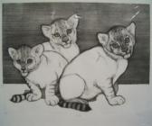 MCGINNIS Christine Cubs MCGINNIS Christine Cubs